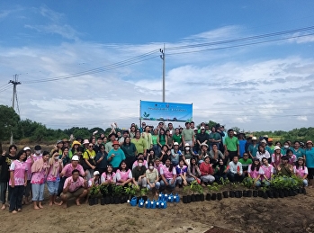 Administrators, faculty and staff of the
College of Logistics and Supply Chain
joined the Green University activity to
plant trees within the area. Nakhon
Pathom Campus